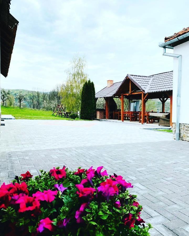 Pensiunea Turistica Retreat Belvedere Vadu Crisului Exteriör bild